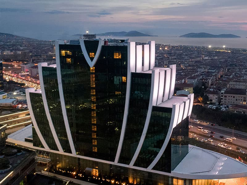 Güçlü Yerli Marka / Uluslararası Büyüme